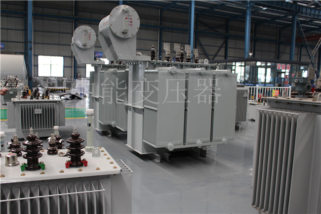 广元3150KVA/35KV油浸式变压器